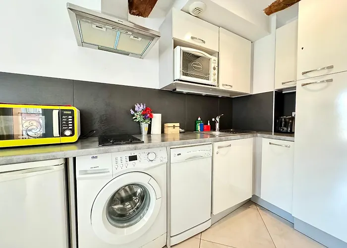 Meynadier Scls - Wifi, Clim, Hyper Centre Apartment